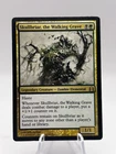 Skullbriar, The Walking Grave [Oversized] #