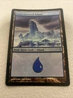 Snow-Covered Island