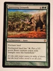 Spawning Grounds