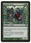 Spitting Spider