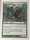 Spitting Spider