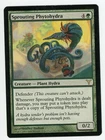 Sprouting Phytohydra