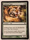 Stalking Tiger