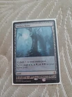 Sunken Hollow