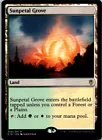 Sunpetal Grove