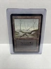Swamp