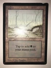 Swamp