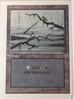 Swamp