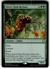 Sweet-Gum Recluse