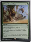 Sylvan Awakening