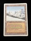 Taiga