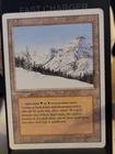 Taiga