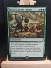 Thickest in the Thicket #