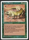 Thicket Basilisk