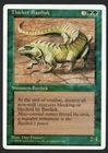 Thicket Basilisk