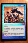 Thieving Magpie