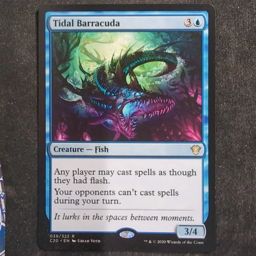 Tidal Barracuda