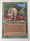Timber Wolves