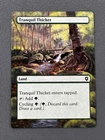 Tranquil Thicket