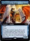 Dragon Hunter