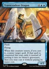 Dragonborn Champion