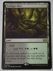Stormwing Dragon