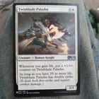 Twinblade Paladin