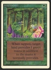 Wild Growth