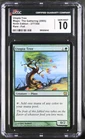 Utopia Tree