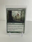 Verduran Enchantress