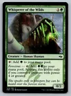Whisperer of the Wilds