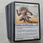 Raksha Golden Cub