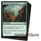 Wilderness Reclamation #