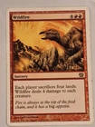 Wildfire