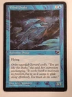 Wind Drake