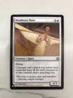 Windborn Muse
