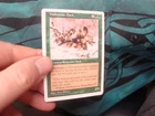 Wolverine Pack