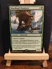 Woodland Wanderer