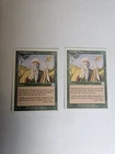 Worldly Tutor