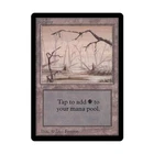 Swamp