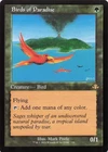 Birds Of Paradise [Retro] #