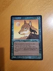 Wyluli Wolf