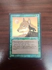 Wyluli Wolf