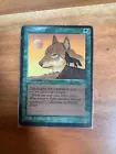 Wyluli Wolf