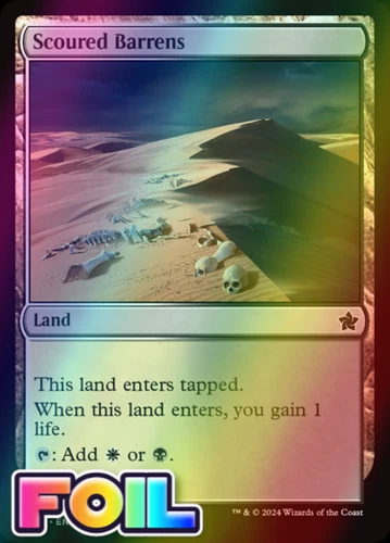 Scoured Barrens #