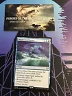 Mystic Confluence #