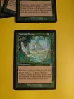 Jungle Shrine #