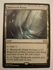 Blinkmoth Nexus