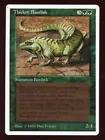 Thicket Basilisk