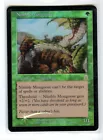 Nimble Mongoose